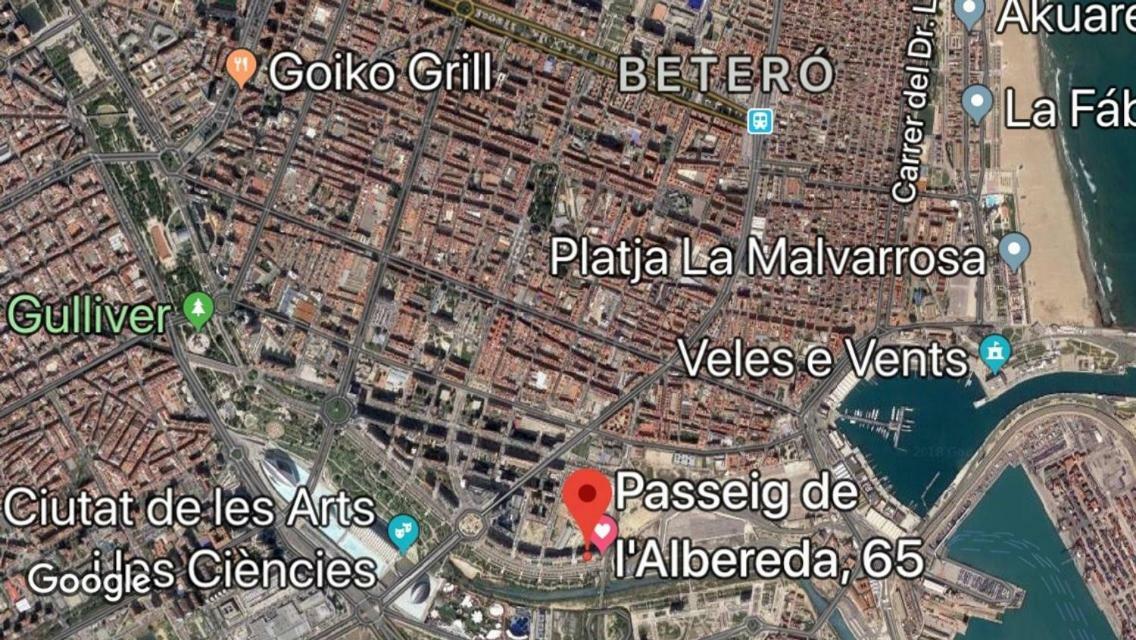 Apto En Ciudad De Las Ciencias Y Cerca Playa バレンシア エクステリア 写真